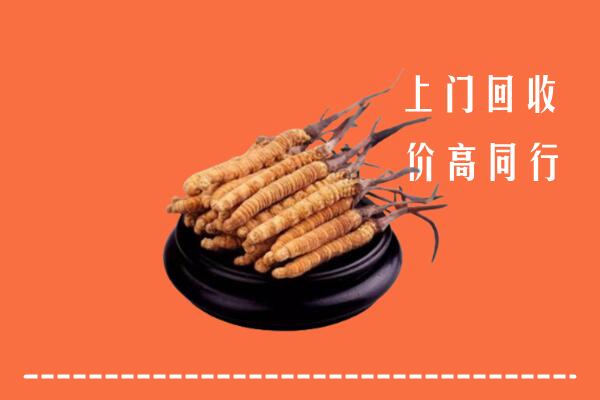 高价求购：重庆江津区回收散虫草