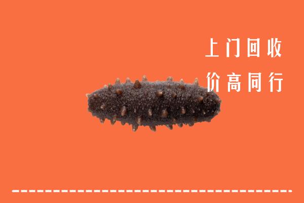 高价求购：重庆江津区回收海参