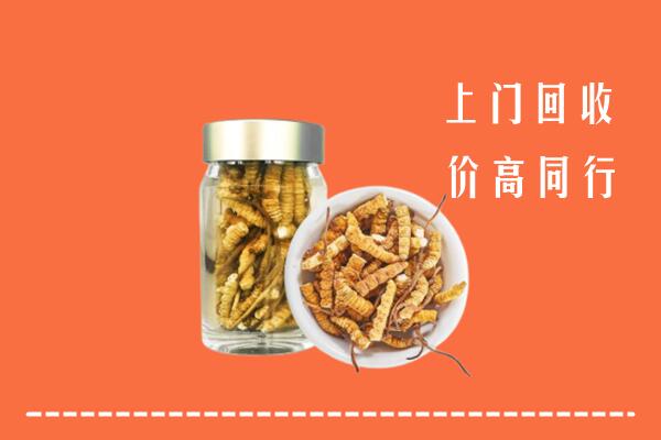 重庆江津区回收冬虫夏草